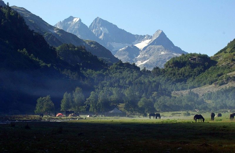 маруха Утренняя долина фото превью