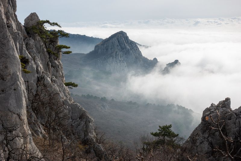 Весеннее настроение.photo preview