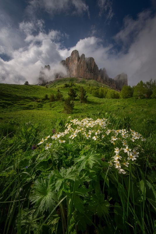 Солнечный день.photo preview