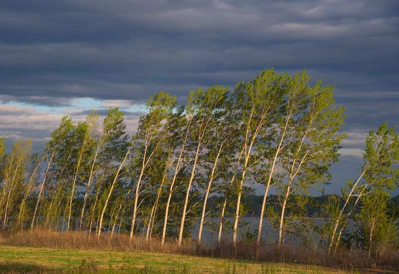 landscape, nature  фото превью