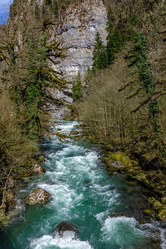 абхазия, пейзаж, природа Обычный пейзаж вдоль дорогиphoto preview