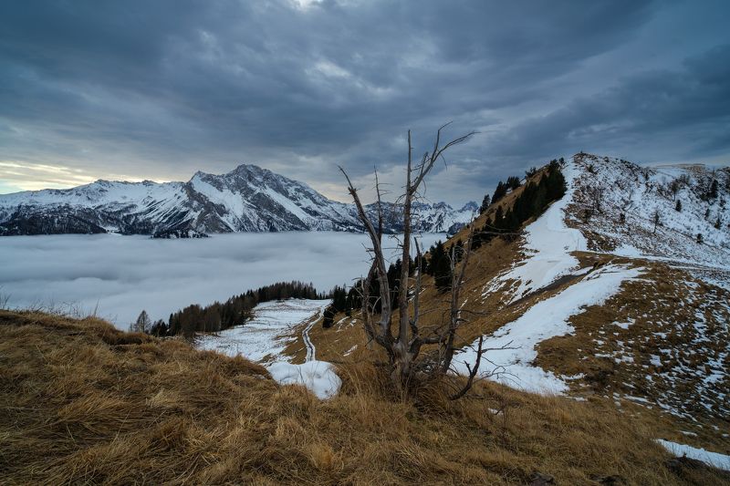 #nature, #туман, #лес, #oсень, #украина, #карпаты, #пейзаж, #закат, #туман, #солнце, #свет, #mountain range, #mountains, #туризм, #лес, #nature, #природа, одинокийphoto preview