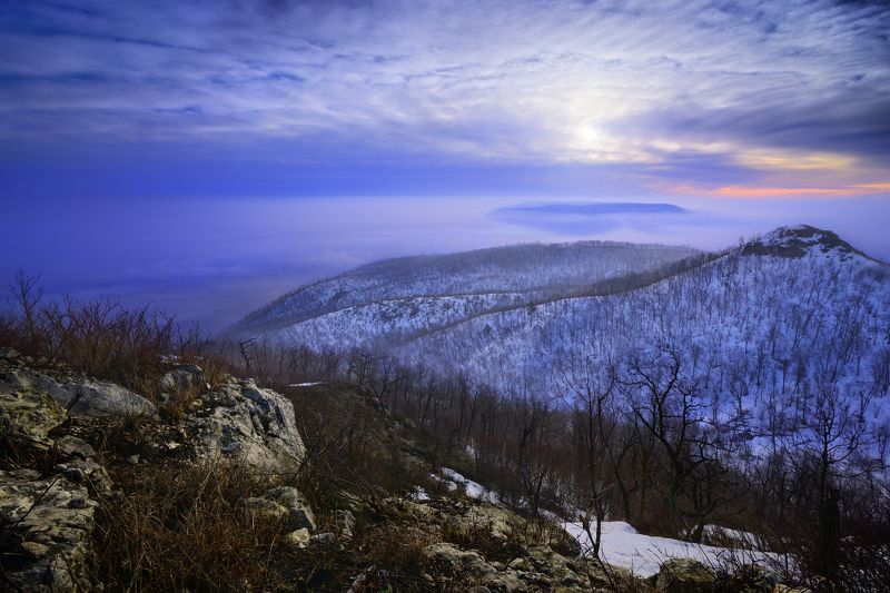 Туман.photo preview