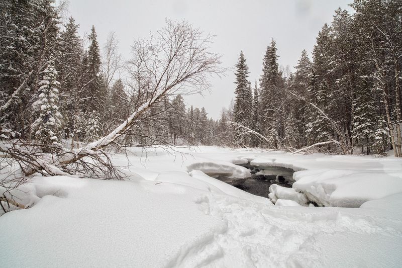 Весна в Мурманской областиphoto preview