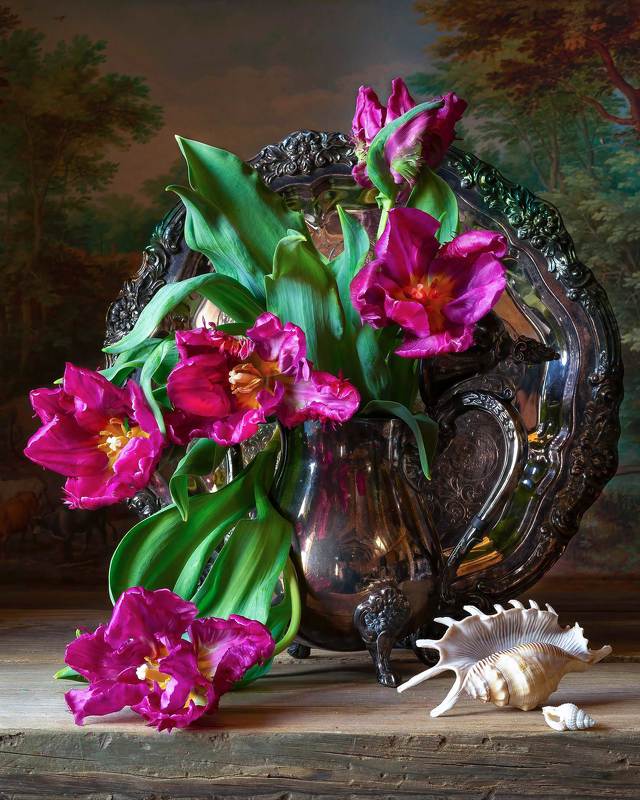 tulips, still life photography, dutch tulips, old masters Glorious Tulipsphoto preview