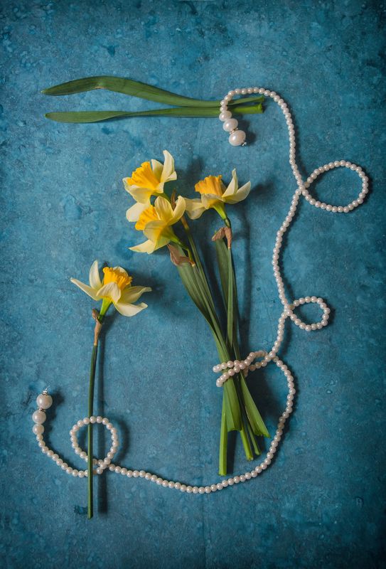 Нарциссы, натюрморт, цветы, весенние цветы О нарциссах фото превью