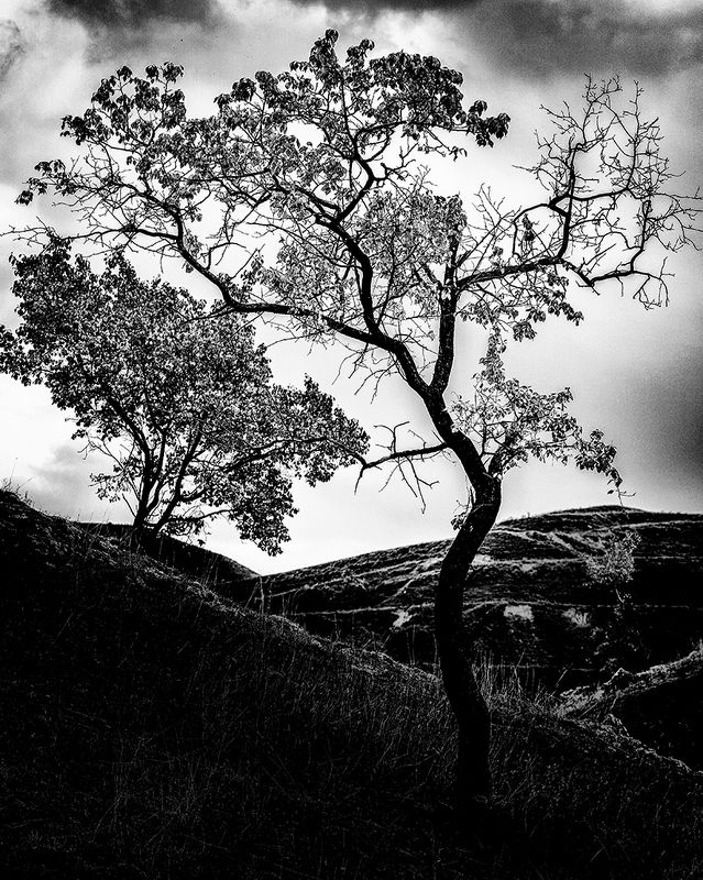 Фото.Графика.photo preview