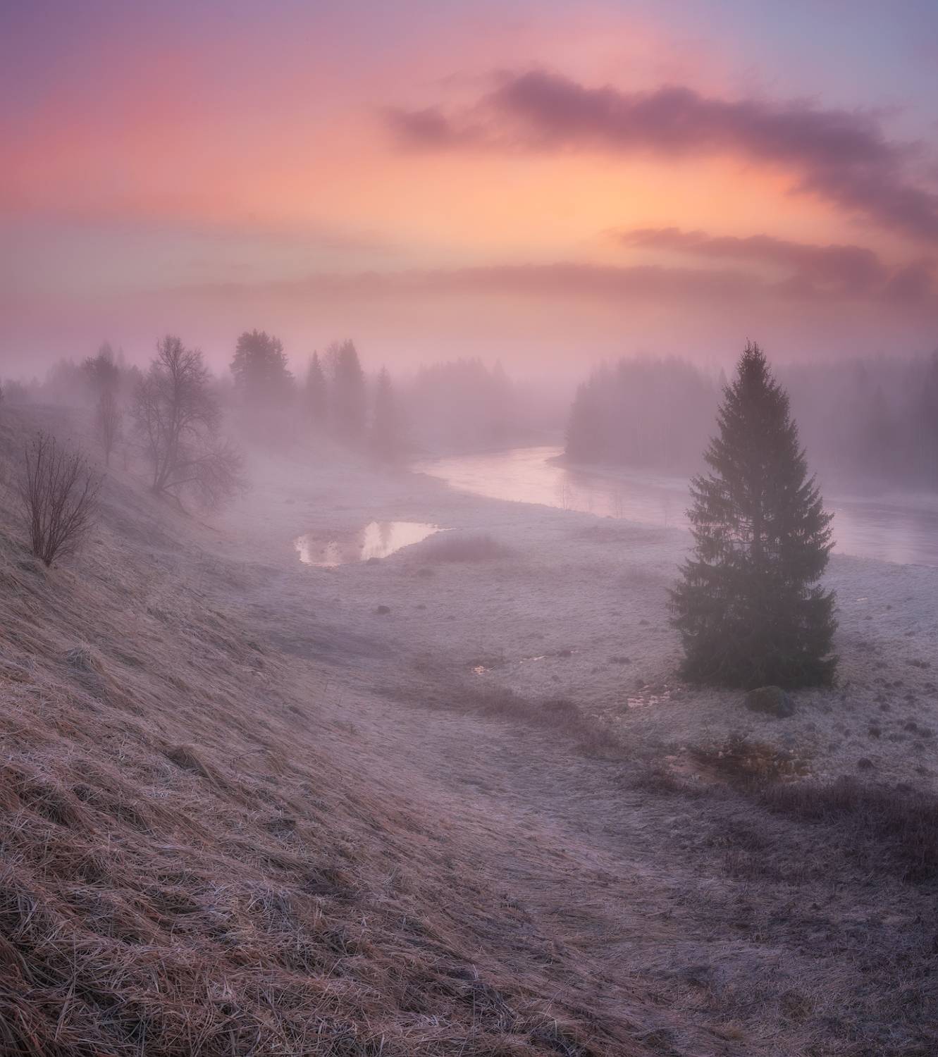ленобласть, весна, рассвет, Марголин Алексей