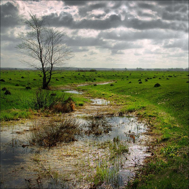 по Рязанской области... фото превью