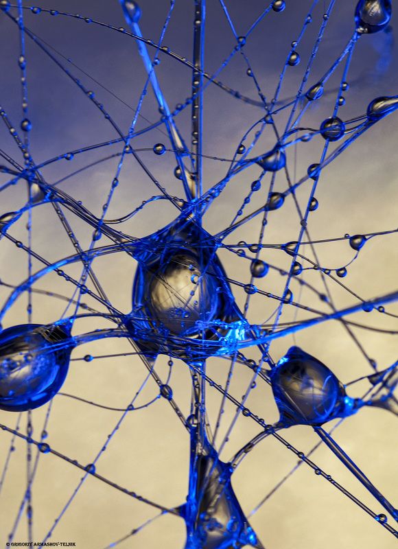 liquid, water, macro, drops, web blue drops фото превью