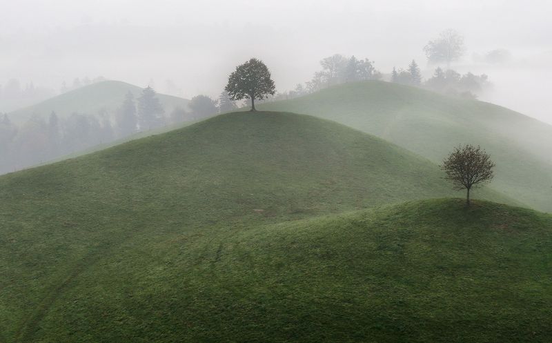 швейцария На холмахphoto preview