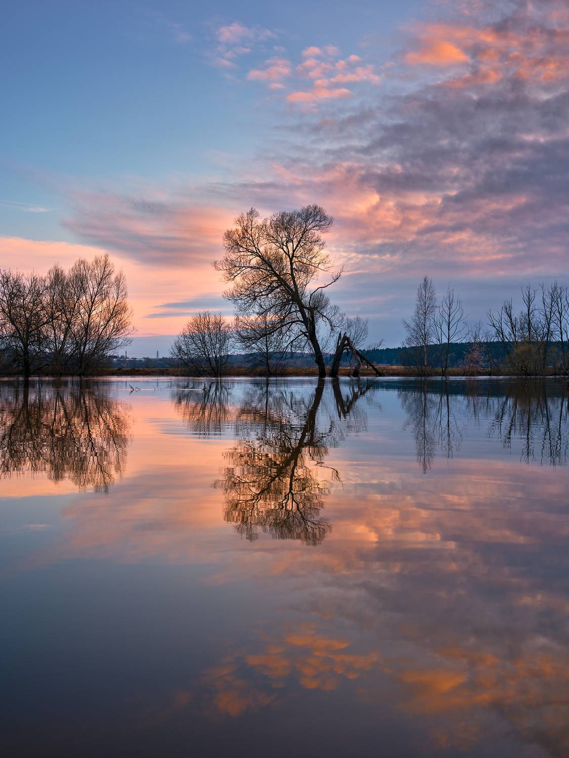 , Дыбов Дмитрий