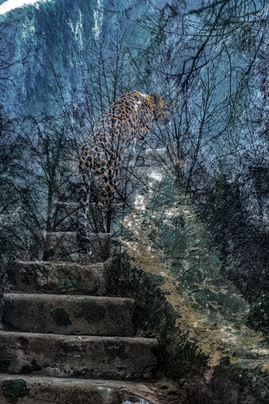 *** фото превью