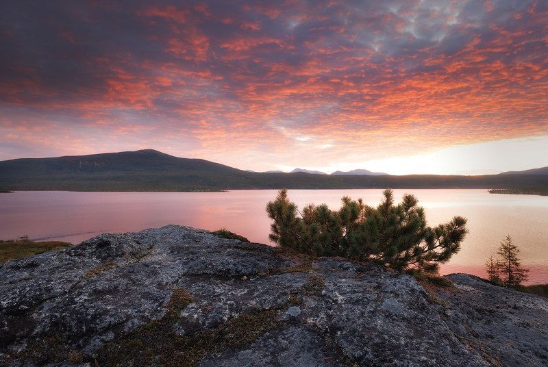 Утро на озере Джека Лондонаphoto preview