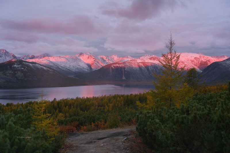колыма, озеро джека лондона, тайга, магаданская область, тундра \