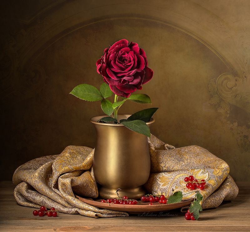 роза,цветок С бордовой розойphoto preview