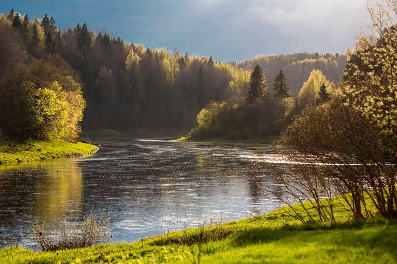 Зеленый шумphoto preview