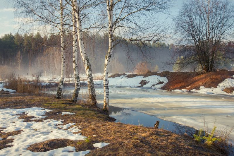 март весна снег проталины туман утро серково Весна. Серково.photo preview