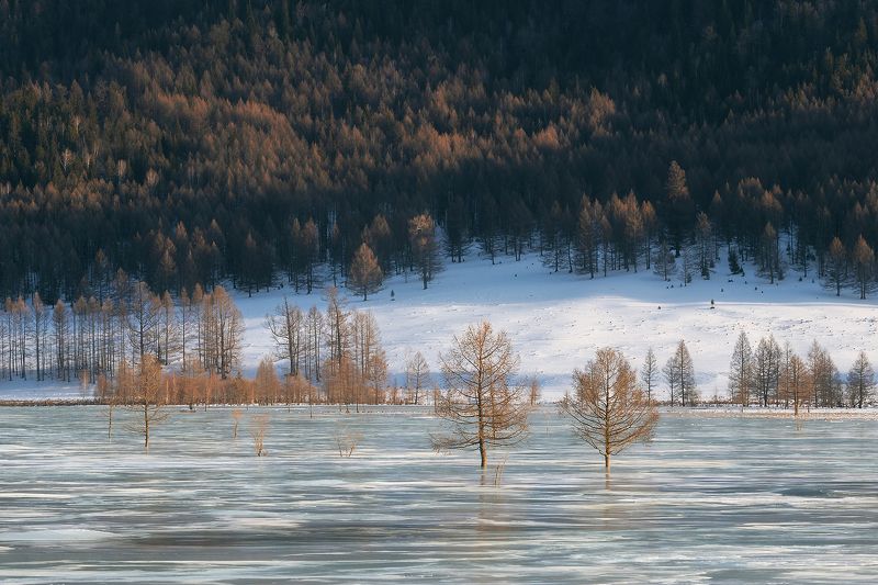 алтай, горный алтай, лед, усть-кан photo preview