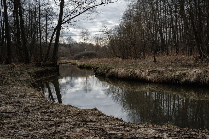 Кузьминки. Апрель.photo preview