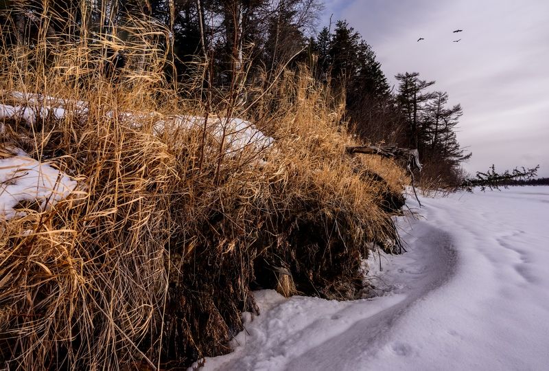 Зима отступаетphoto preview