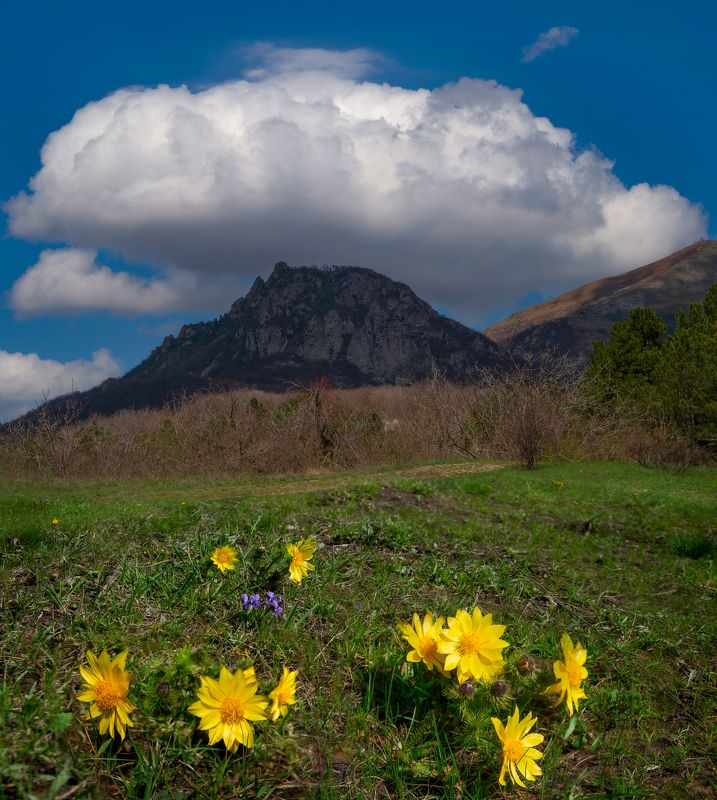 весна, гора,цветы,кмв,пейзаж Гора в белой шляпкеphoto preview