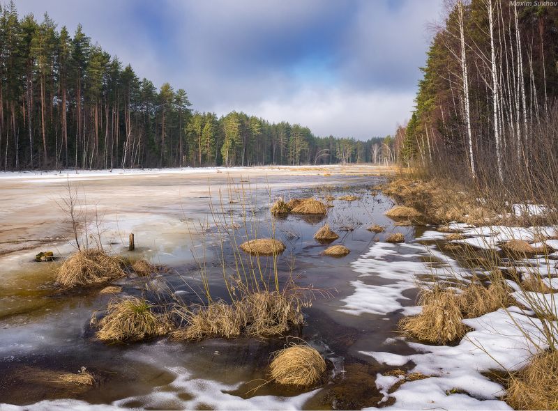 река, лед, лес, сосны, весна О весенней воде во всех состоянияхphoto preview