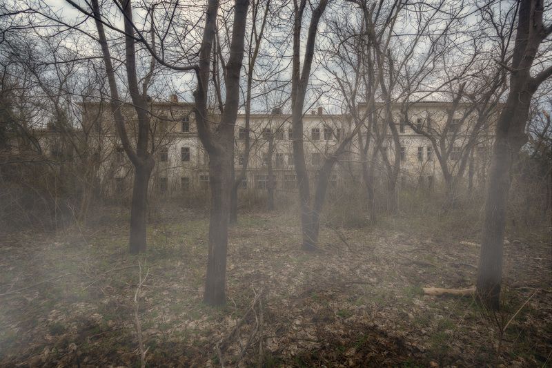 Октябрьphoto preview