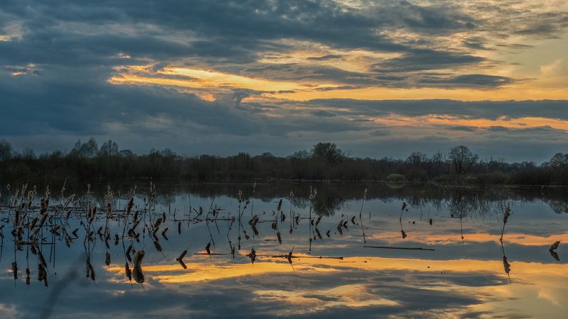 весна, апрель, разлив, десна, трубчевск «Апрельский вечер»photo preview