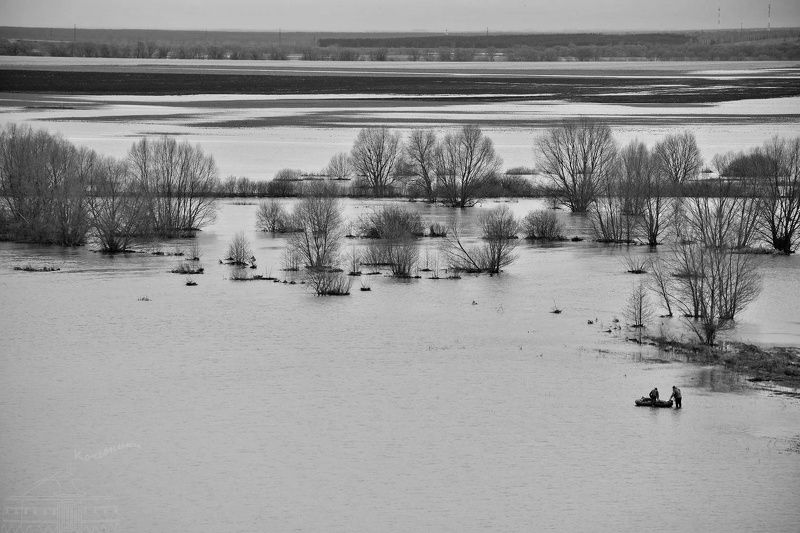 На охотуphoto preview