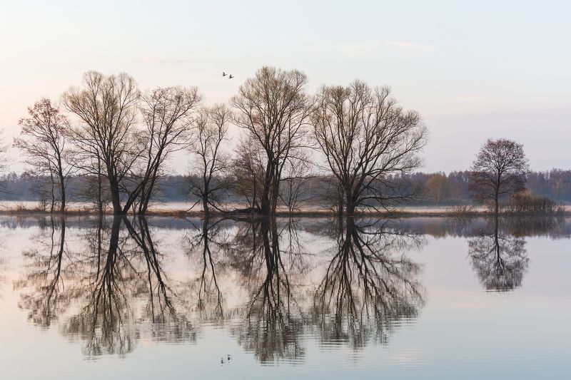 Летят утки...photo preview