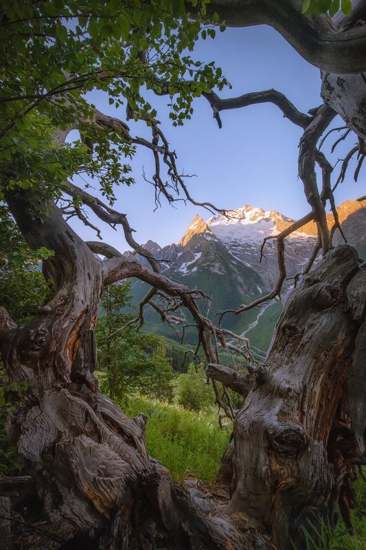 Уютные и солнечные уголки горного Кавказа.photo preview