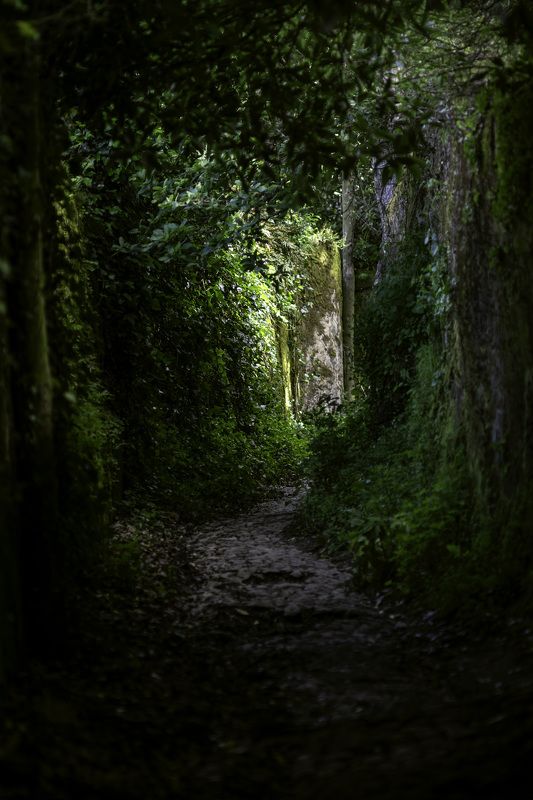 Nature, Street Reportage, uncategorized, Abstract  Sintraphoto preview