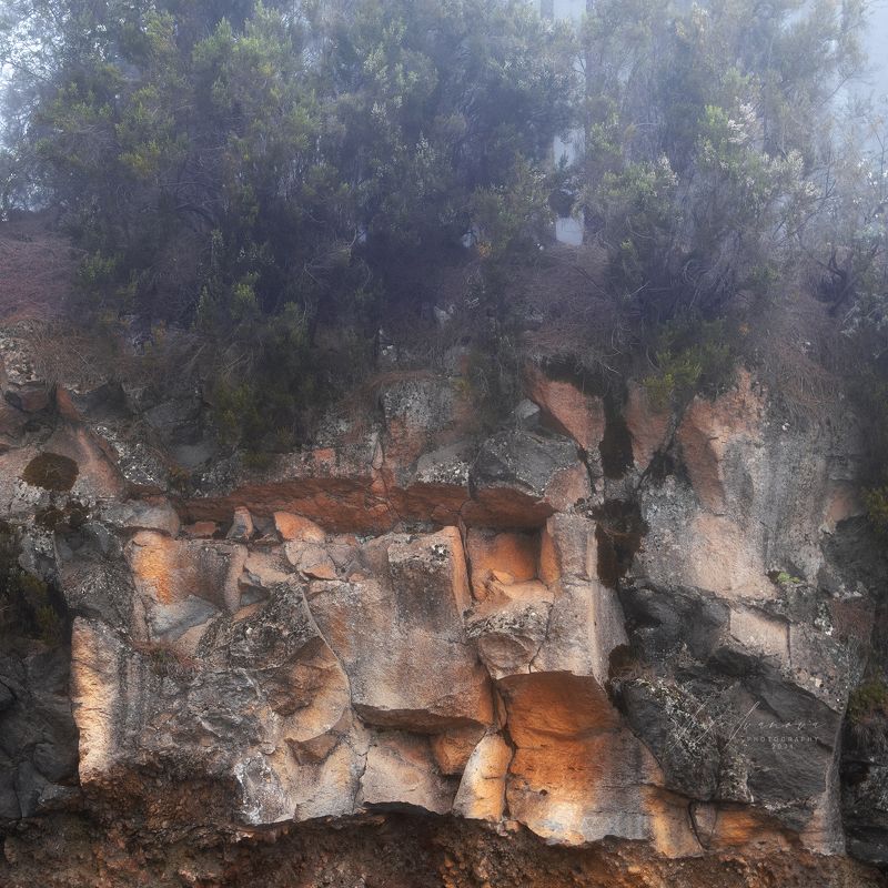 Teide, Canary Islands Tenerifephoto preview