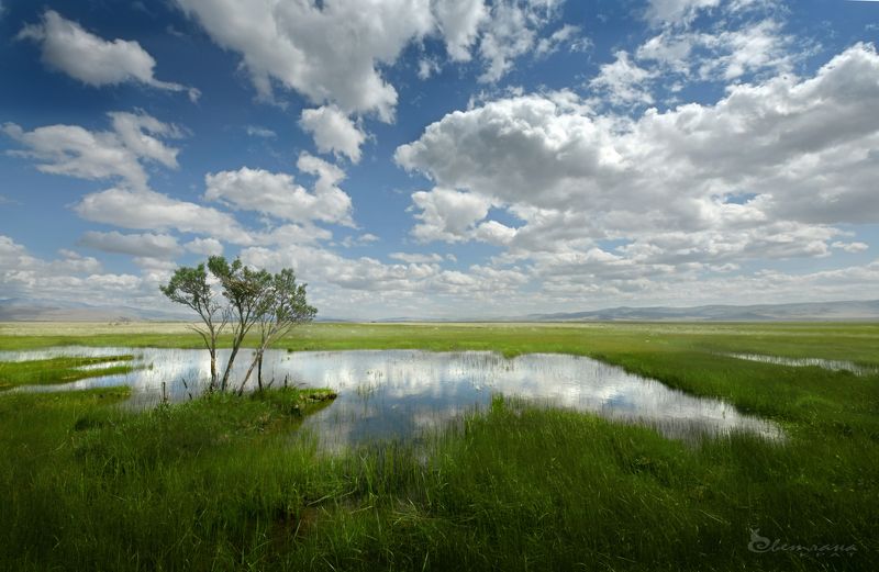 Сочное летоphoto preview