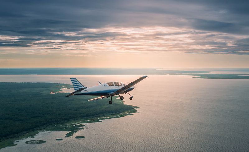 Редкая птица над Рыбинкойphoto preview