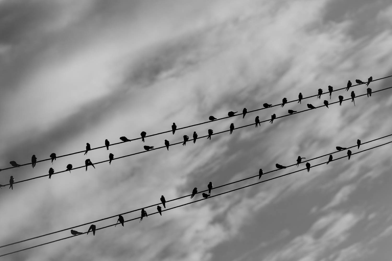 , Васенков Геннадий