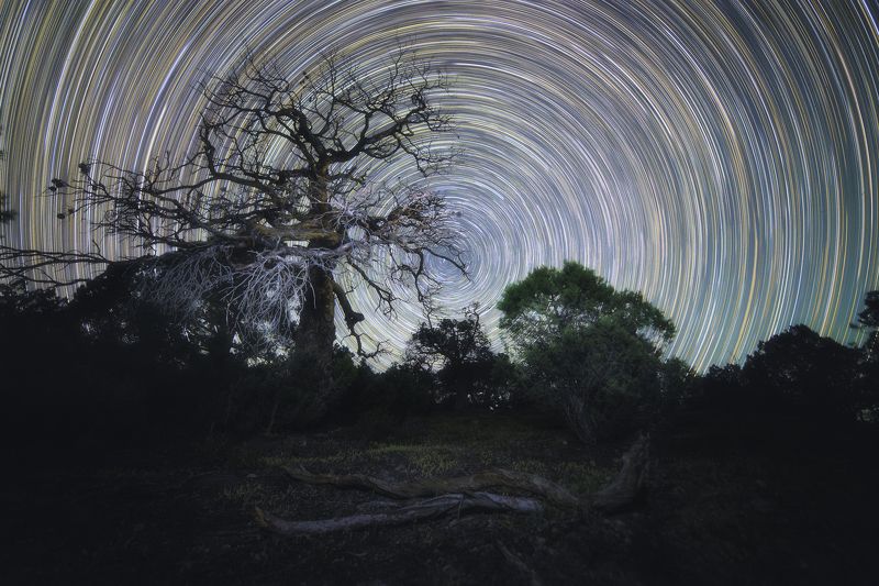 Сказки на ночьphoto preview