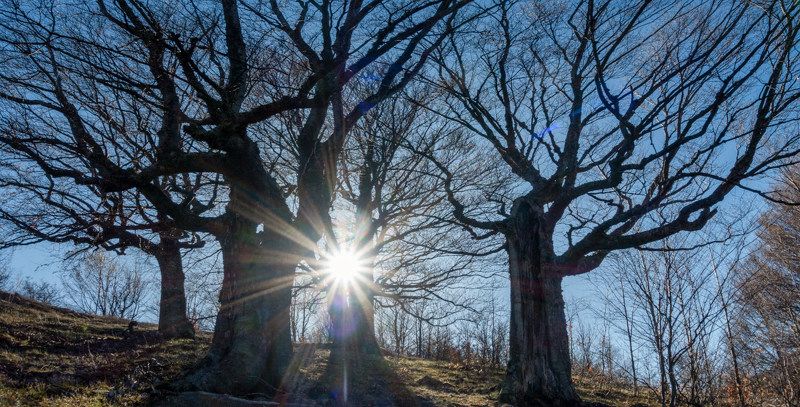 Букоманияphoto preview