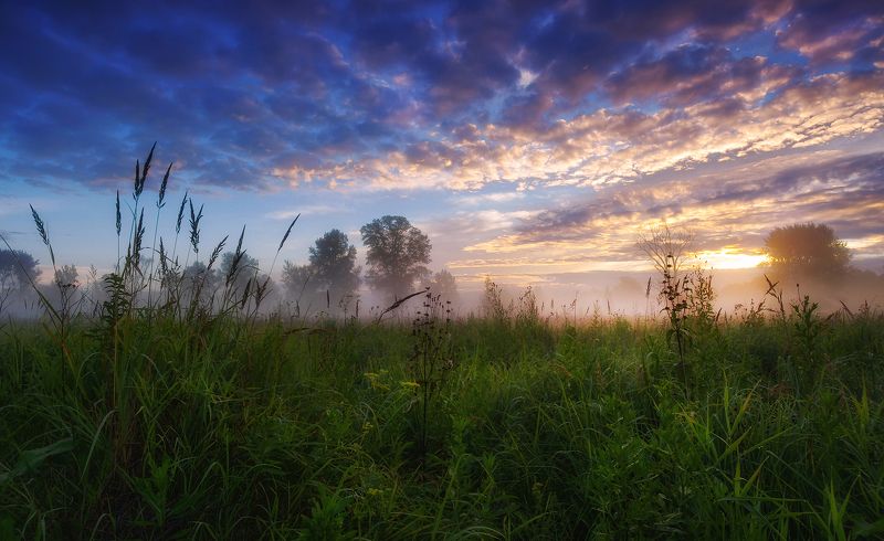 сибирь, лето, утро, рассвет, туман, свет Краски летнего утраphoto preview