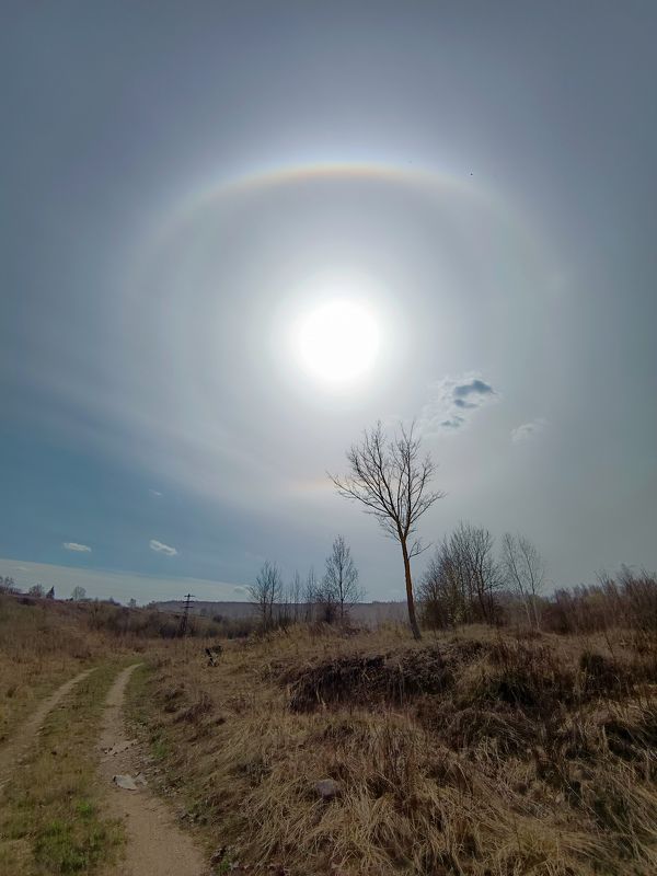 Галоphoto preview