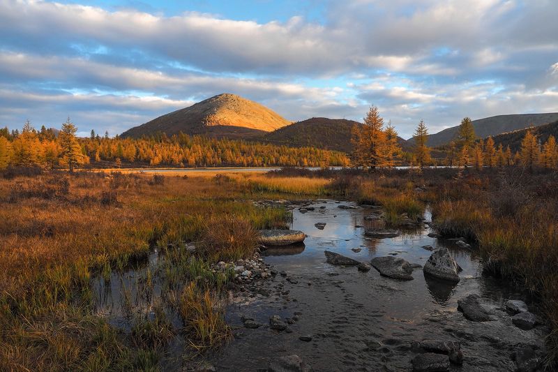 Клонился день к закатуphoto preview
