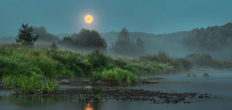 Foggy Riverphoto preview