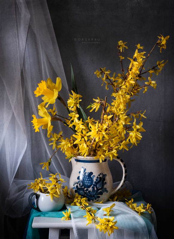 Yellow 1photo preview