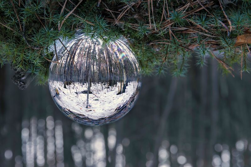 лес Весенний лес в стеклянном шареphoto preview