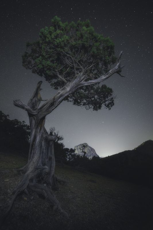 Под светом звёздphoto preview