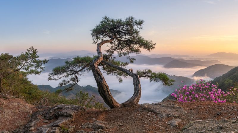 Spring in Wolasanphoto preview