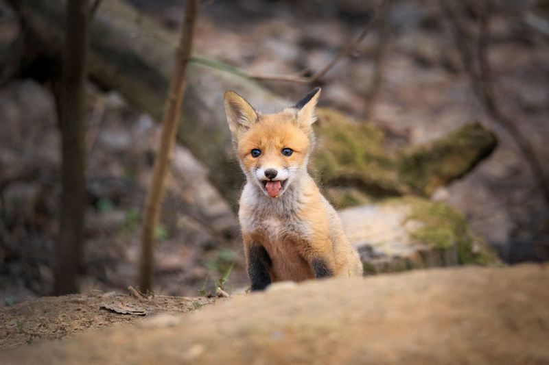 Эй, не стойте слишком близкоphoto preview
