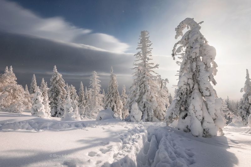 уреньга, хребет, горы, зима, челябинская область, снег, лес Хребет Уреньгаphoto preview