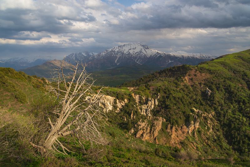 узбекистан, чимган, чарвакское водохранилище, uzbekistan, chimgan photo preview